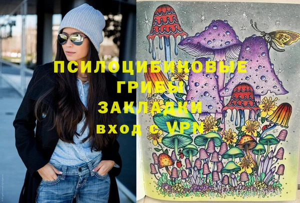 бошки Алзамай
