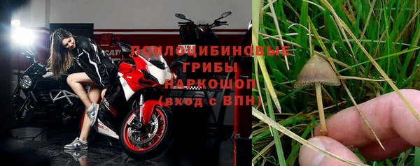 бошки Алзамай